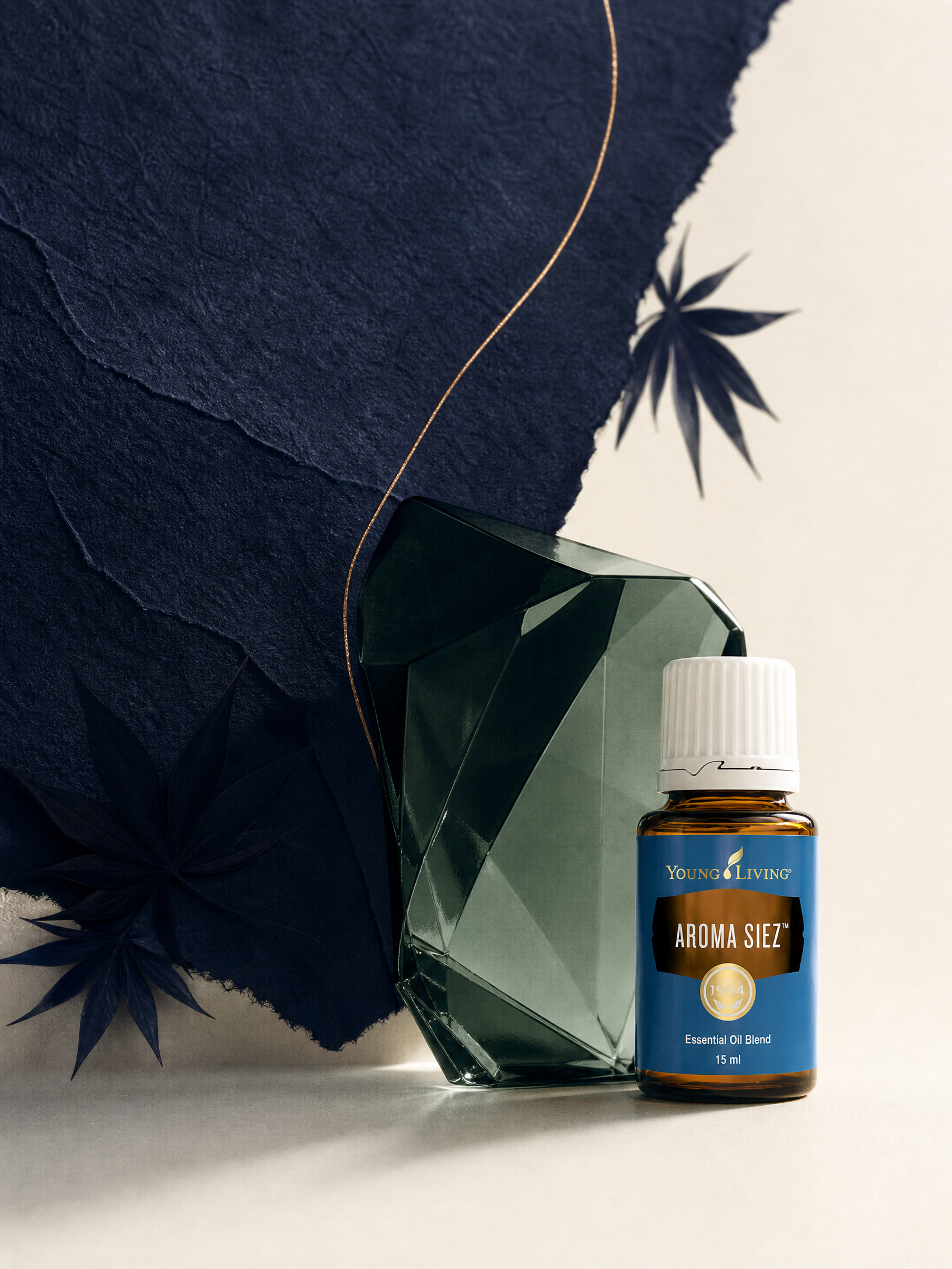Aroma Siez product presentation