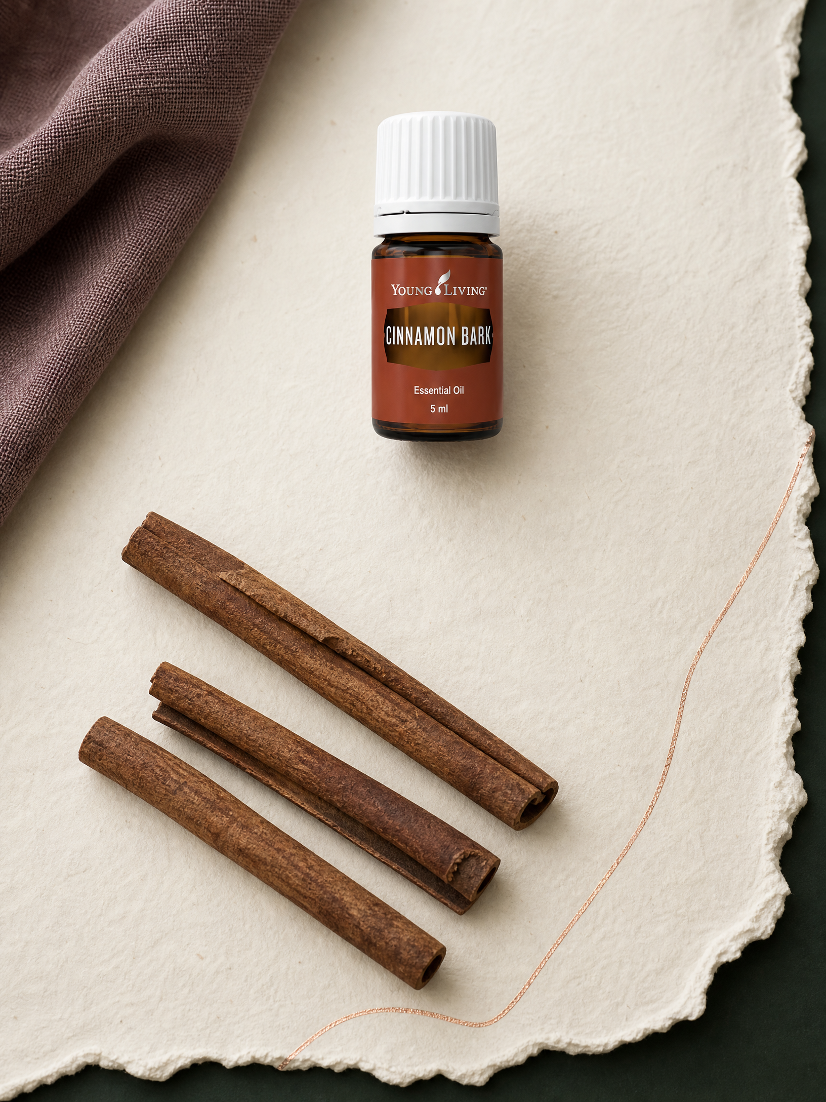 Cinnamon Bark 桂皮 product presentation