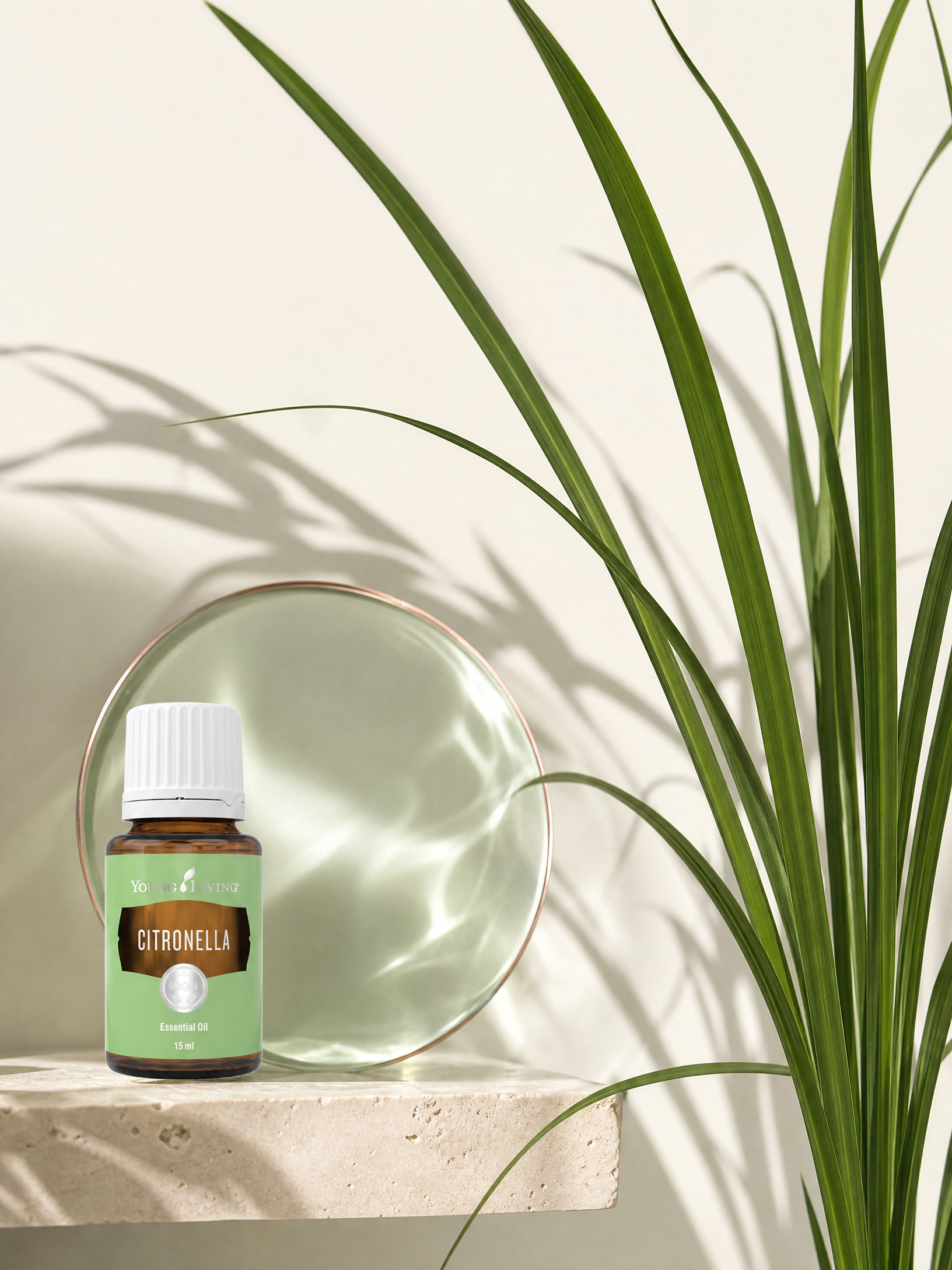 Citronella 香茅 product presentation