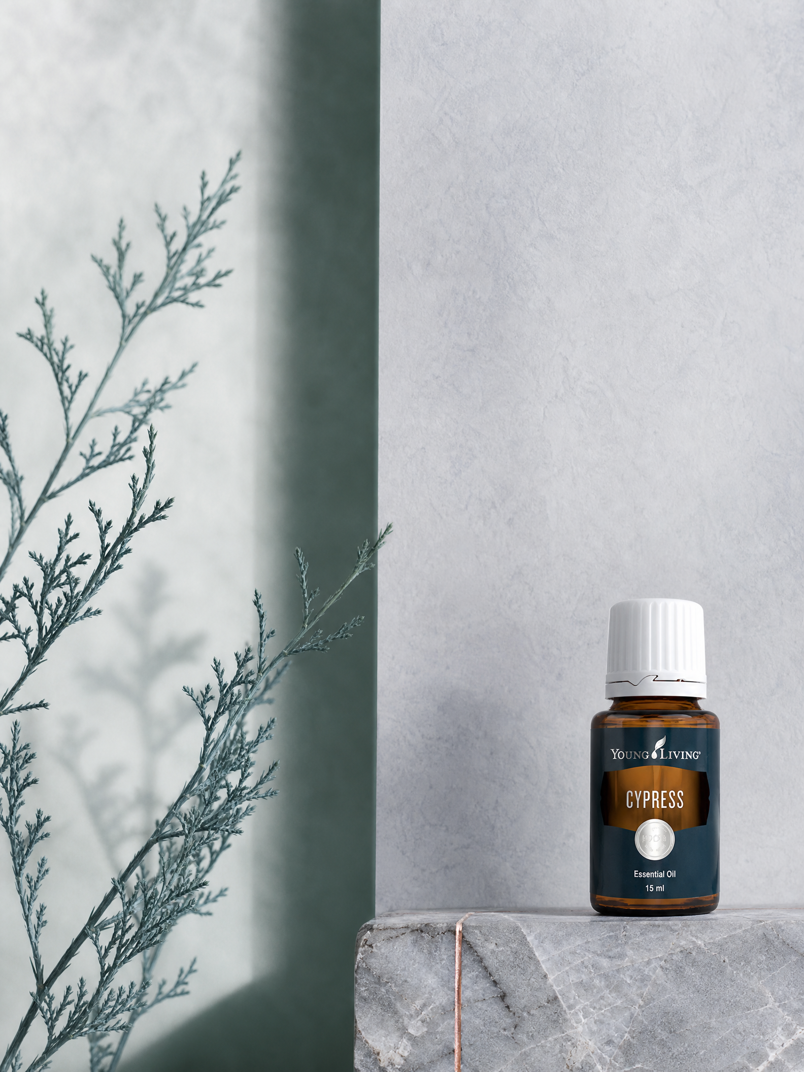 Cypress 絲柏 product presentation