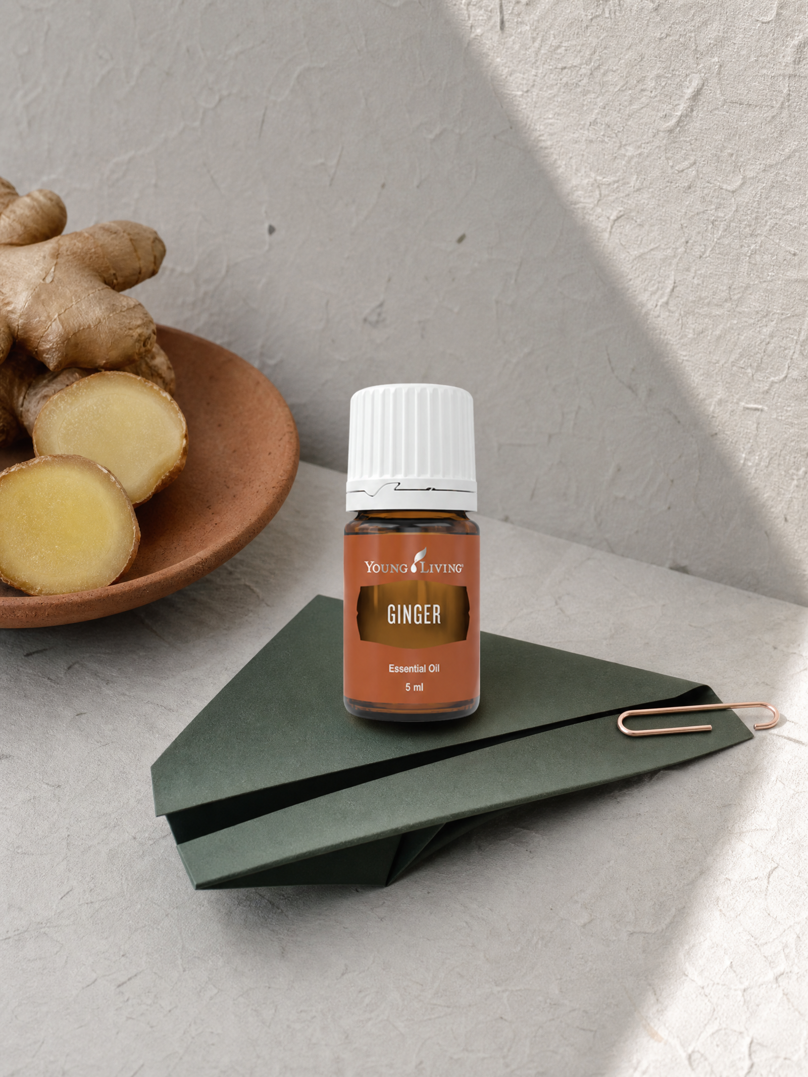 Ginger 生薑 product presentation