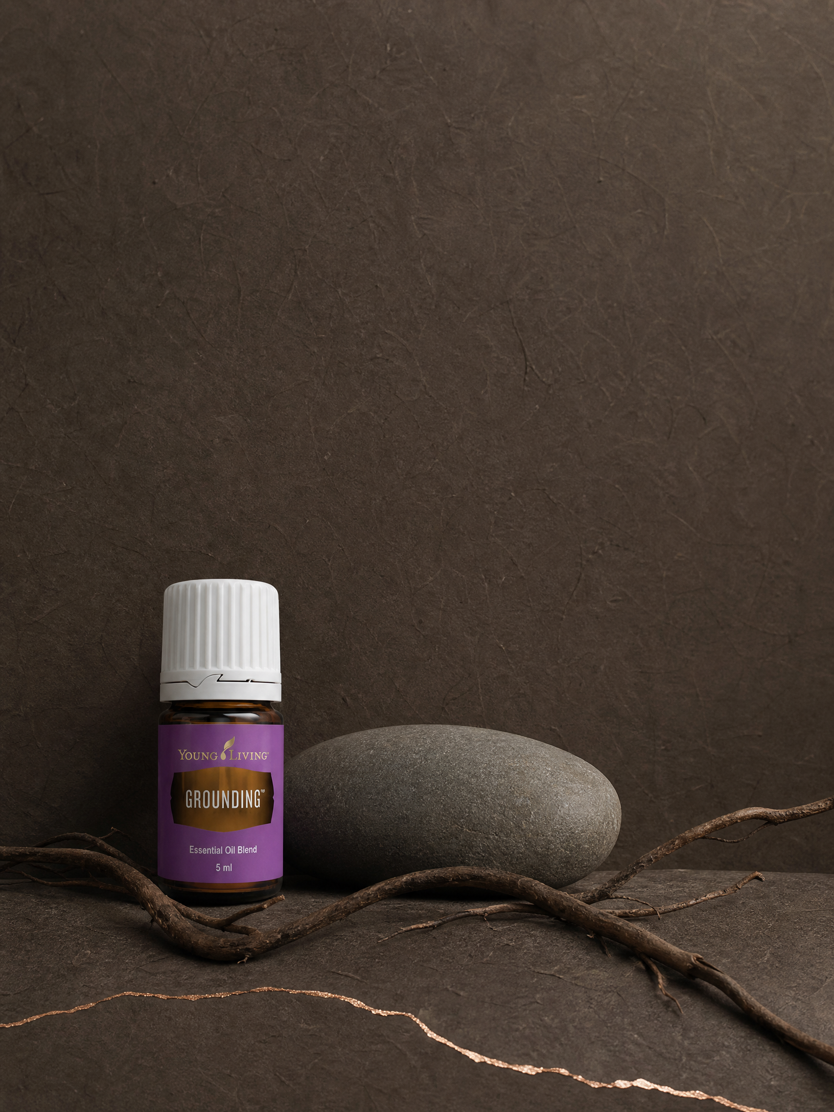Grounding product presentation