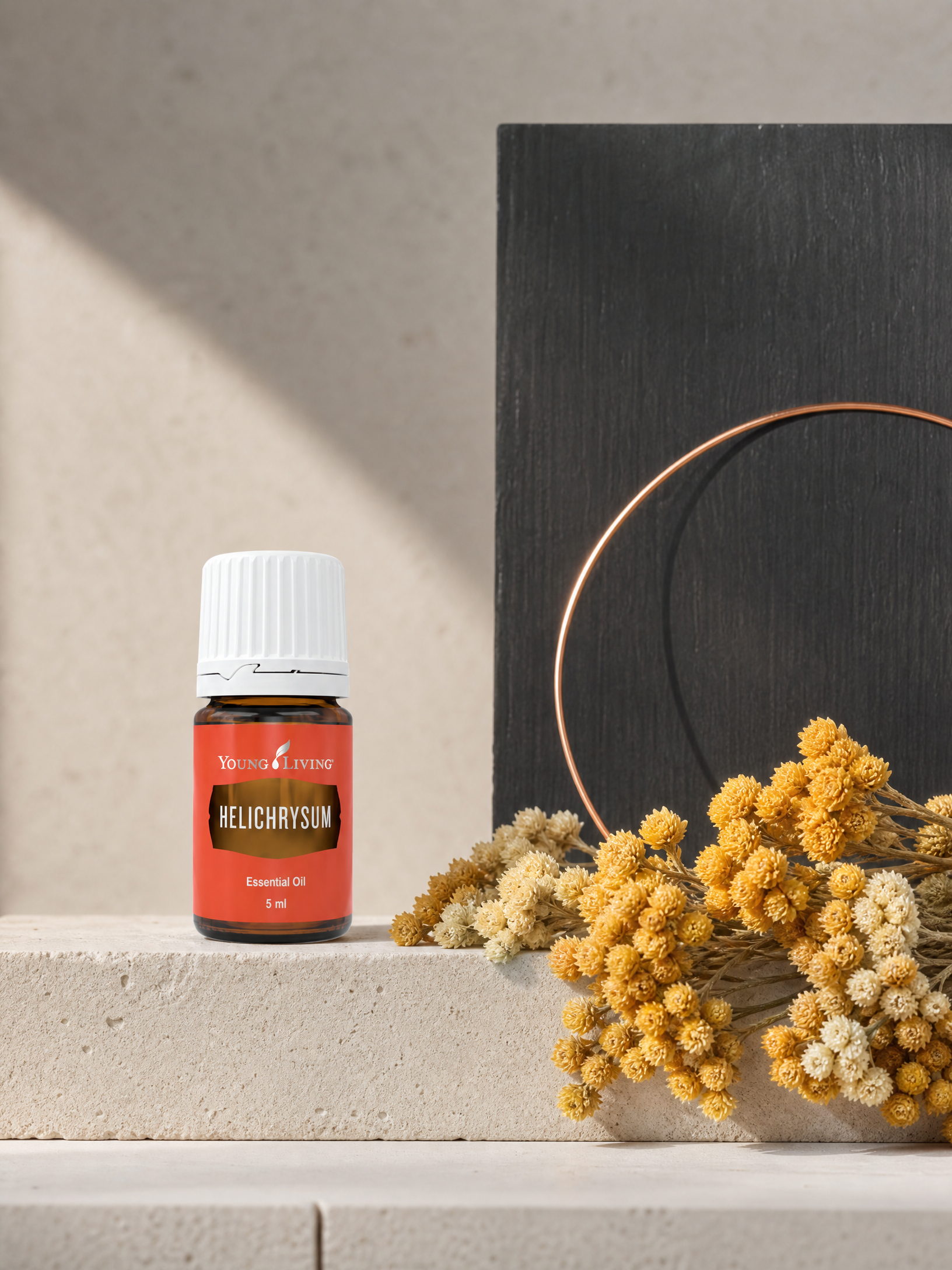 Helichrysum 蠟菊 product presentation