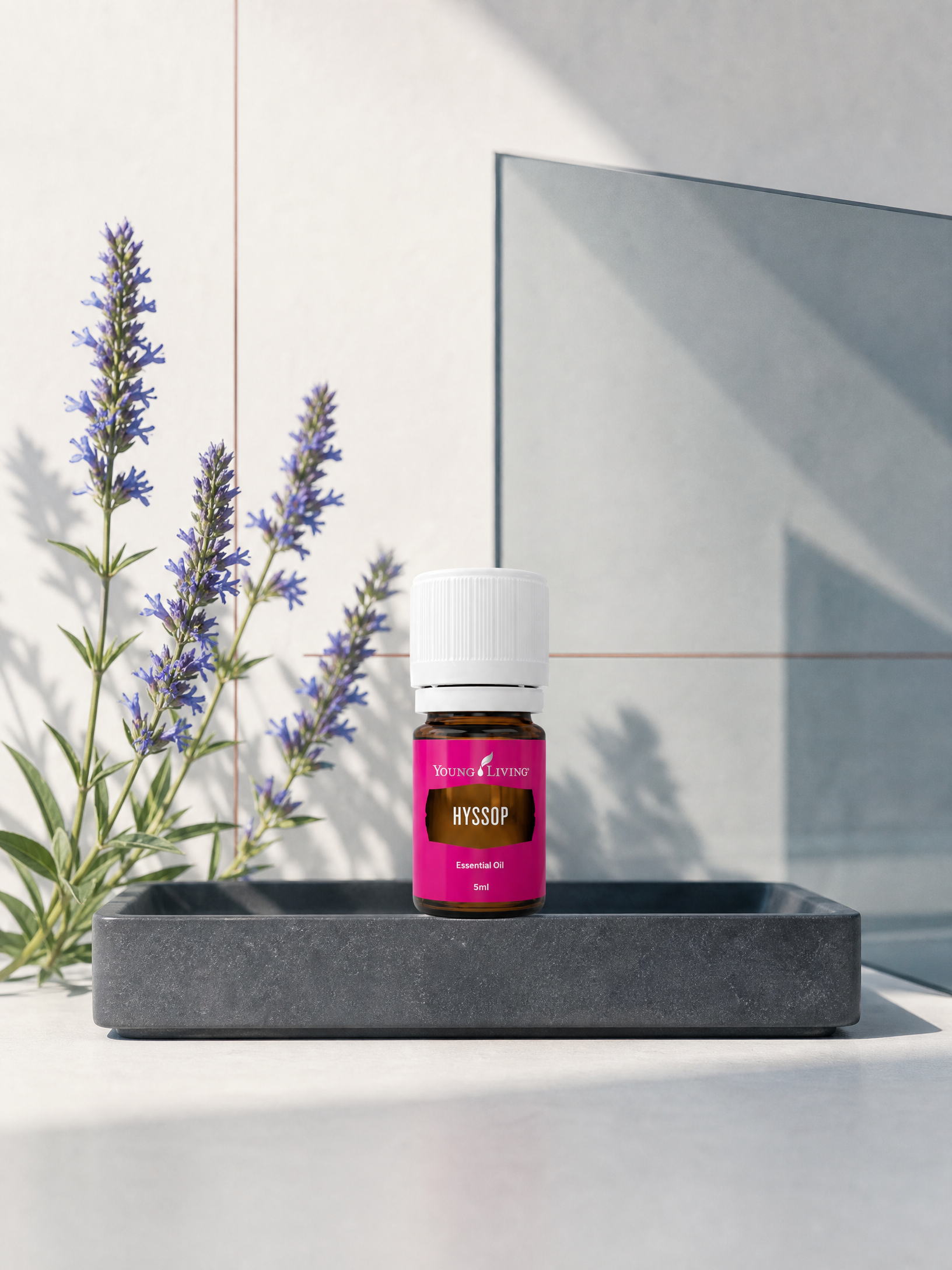 Hyssop 牛膝草 product presentation