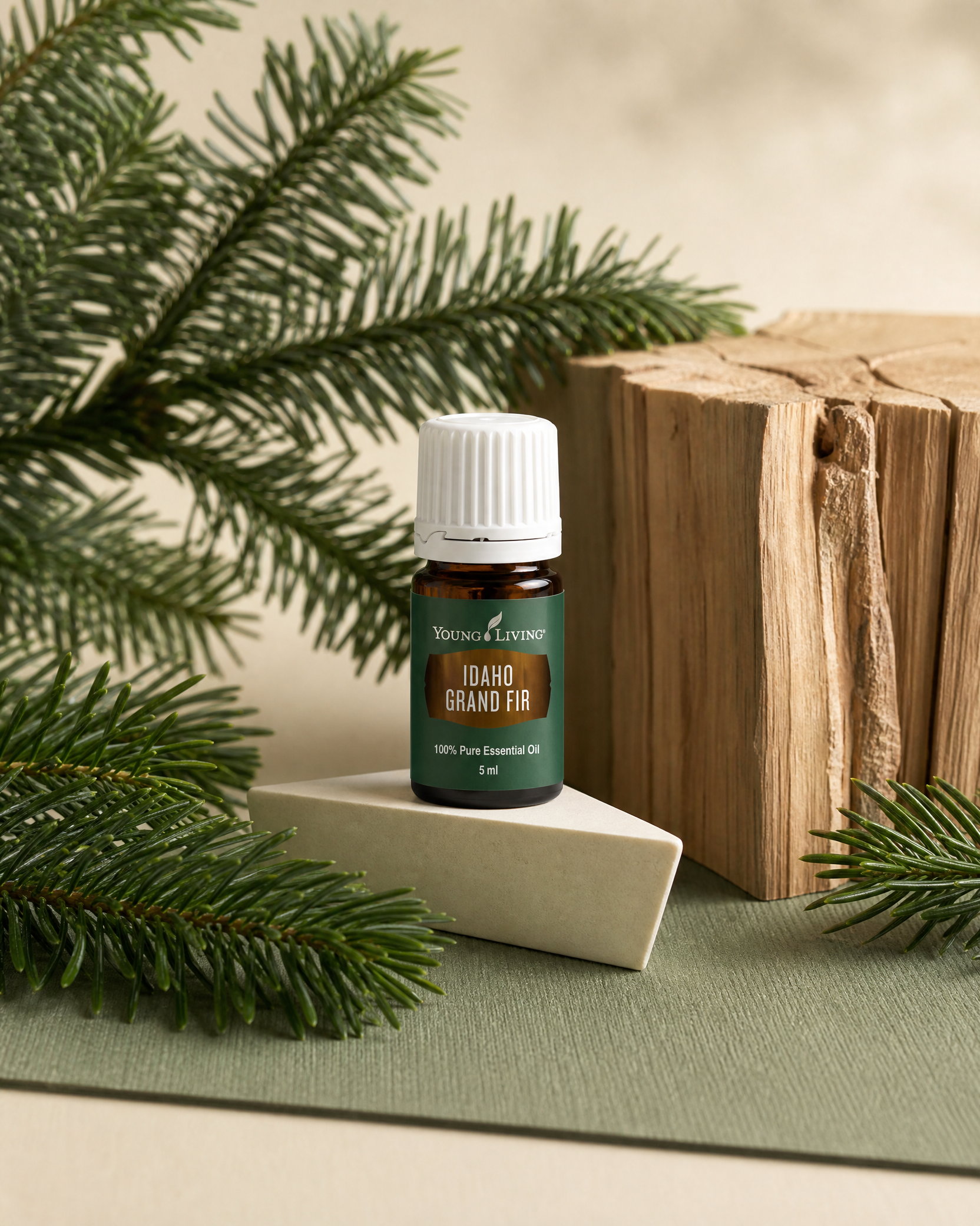 Idaho Grand Fir 愛達荷州巨冷杉 product presentation