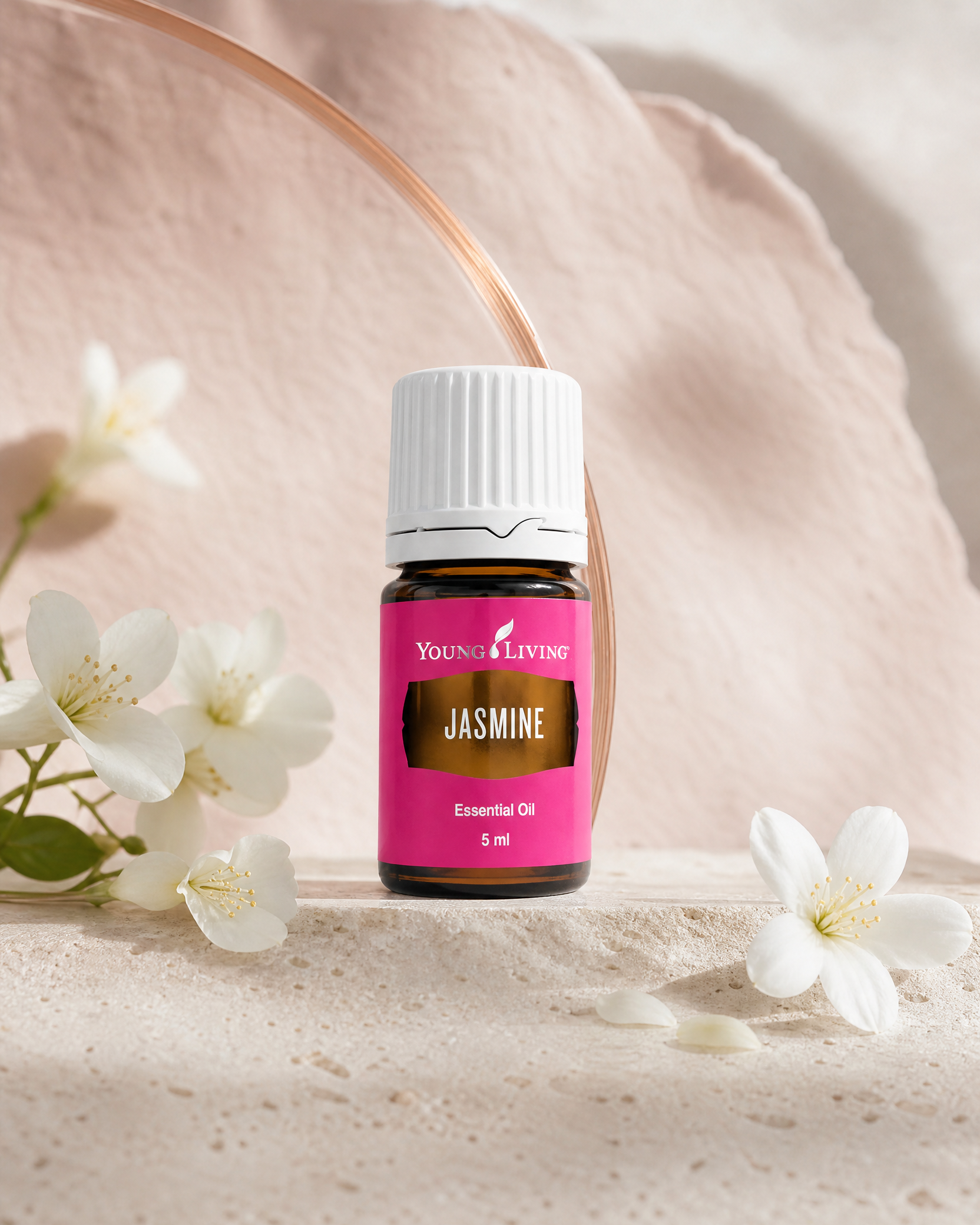 Jasmine 茉莉 product presentation