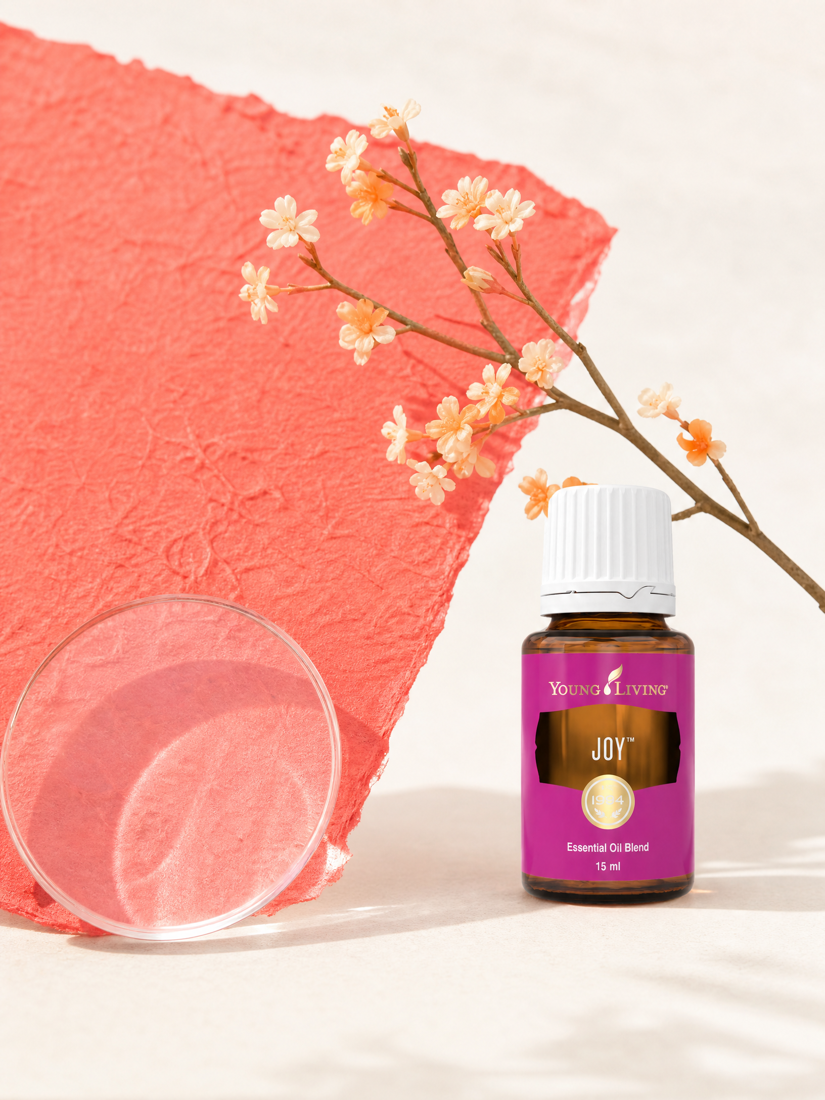 Joy product presentation
