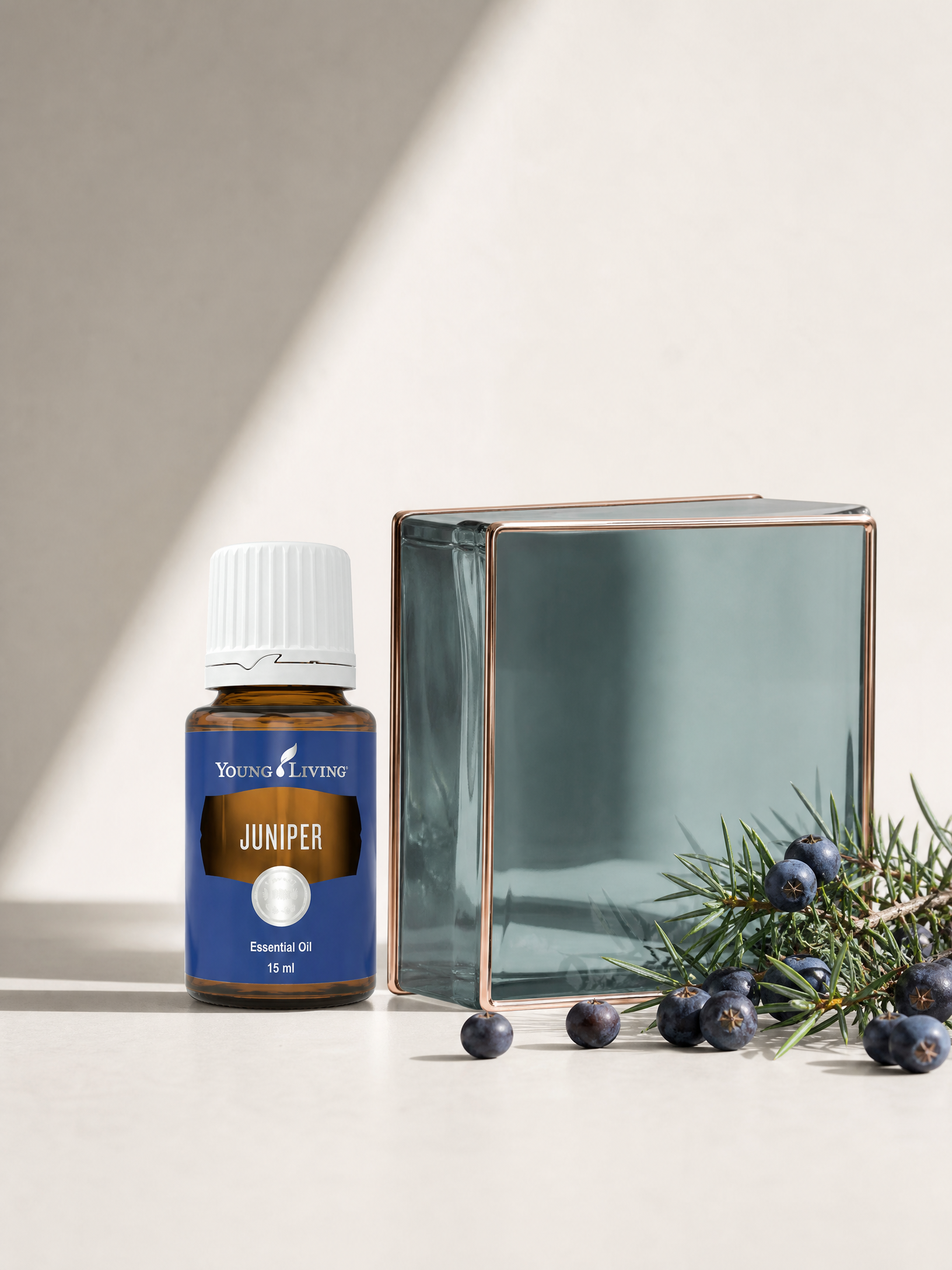 Juniper 杜松 product presentation