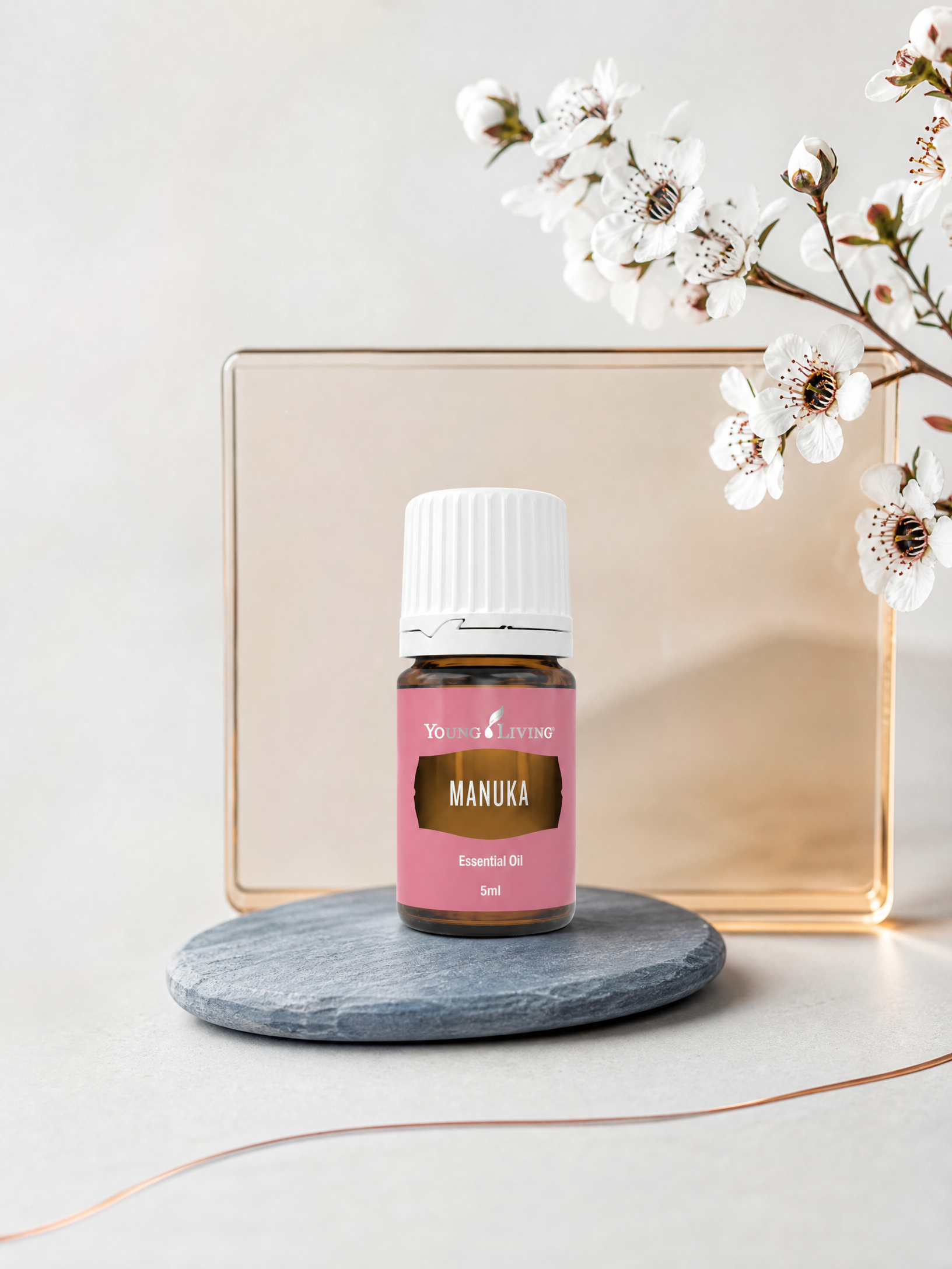 Manuka 麥蘆卡 product presentation