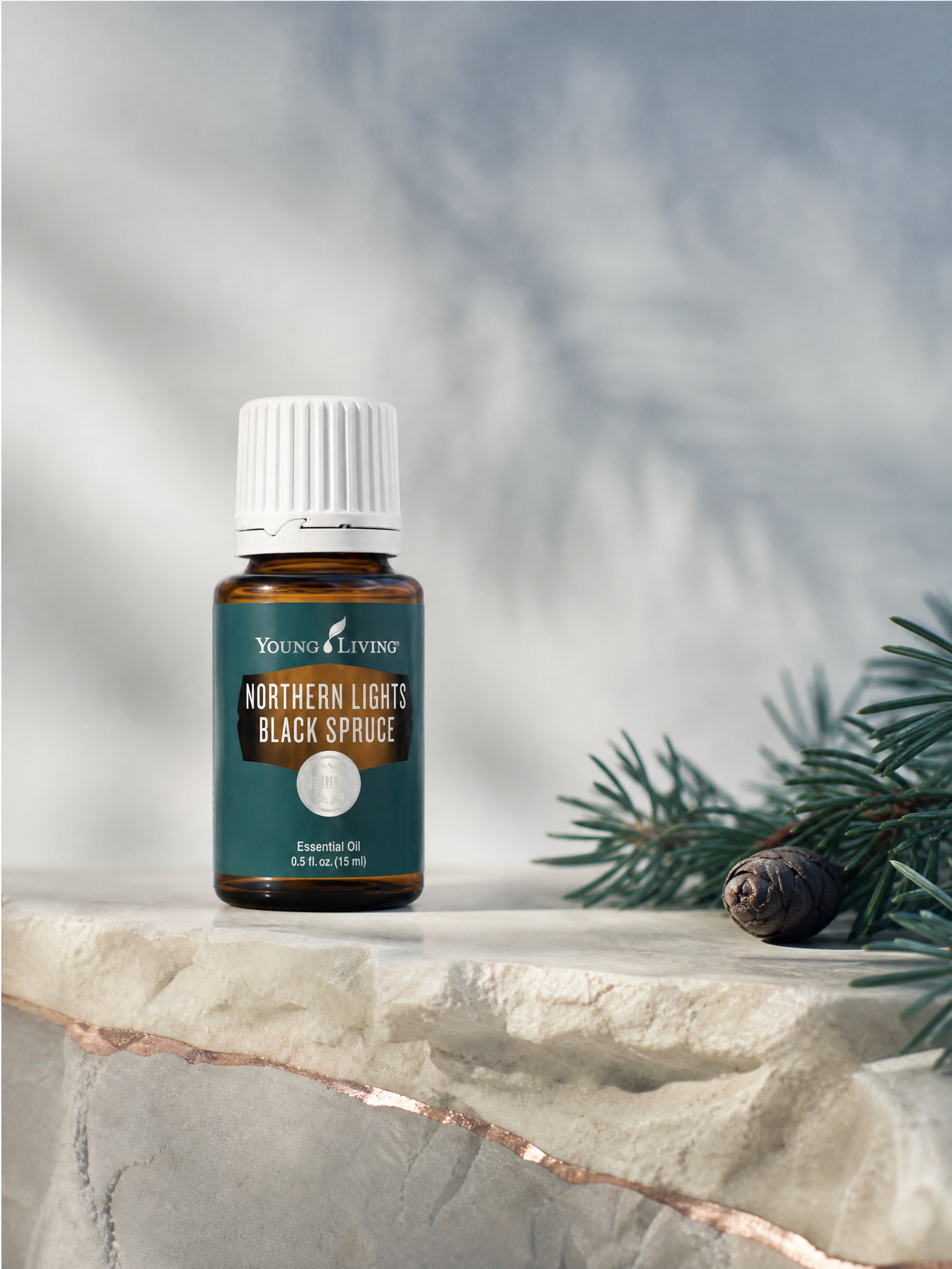 Northern Lights Black Spruce 北極光黑雲杉 product presentation