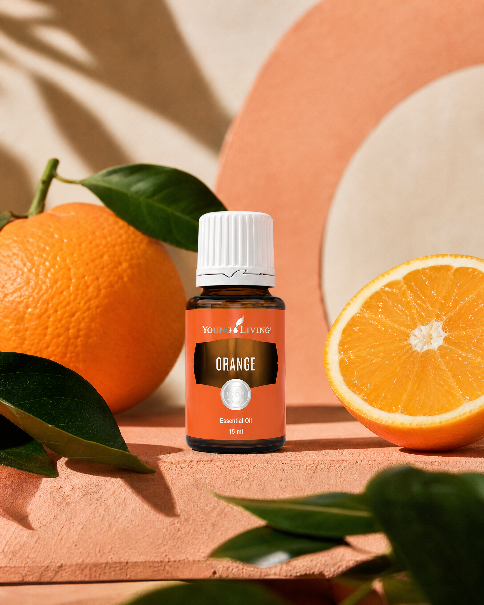 Orange 甜橙 product presentation