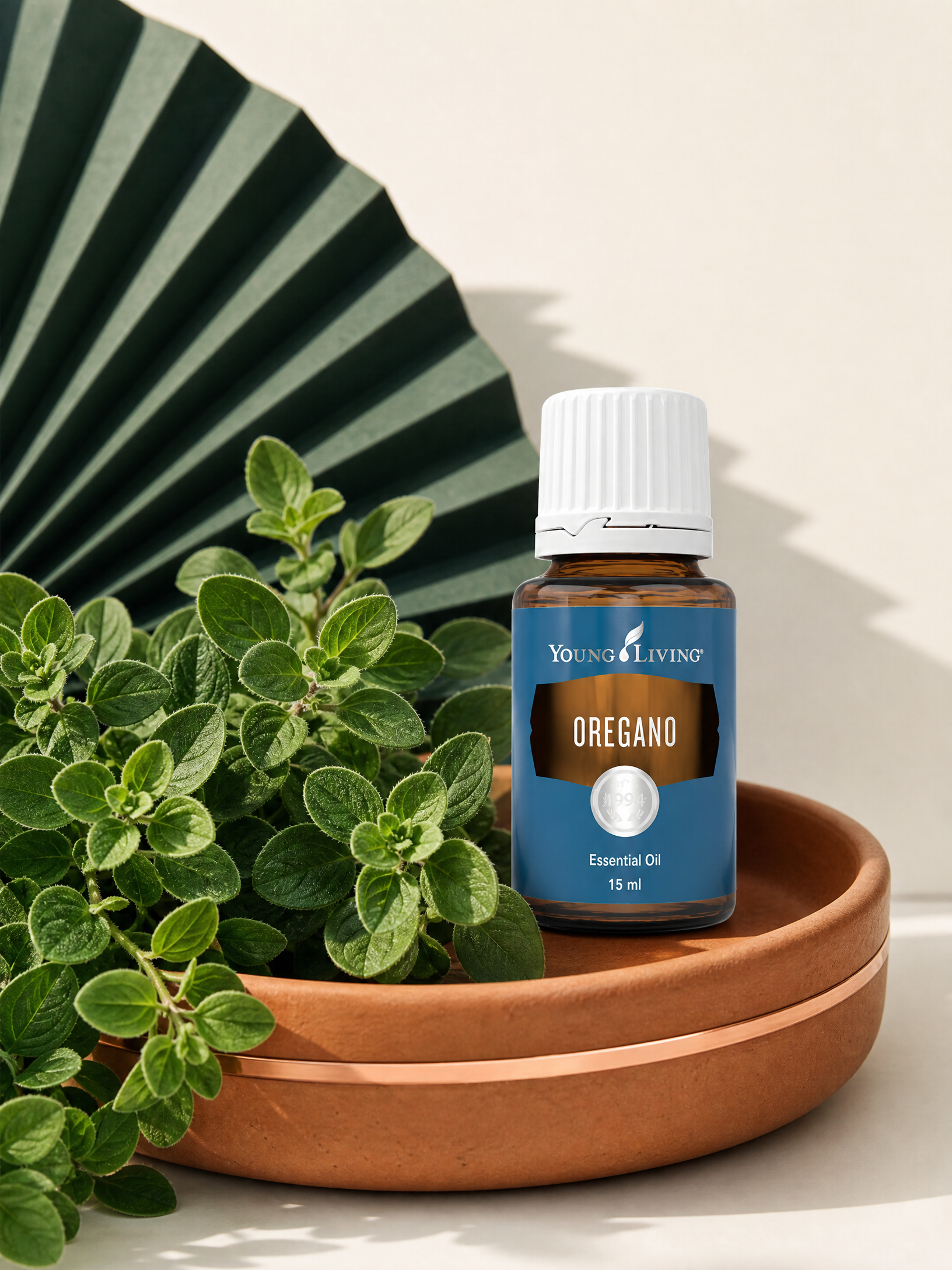 Oregano 牛至 product presentation