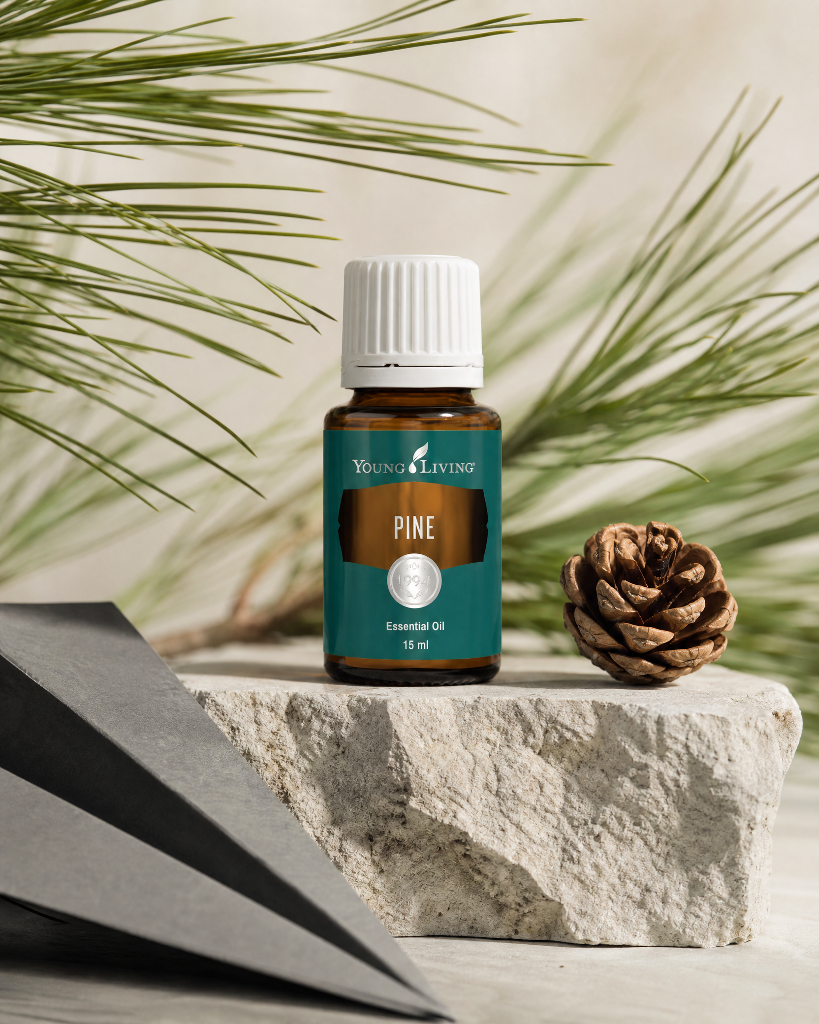 Pine 松樹 product presentation