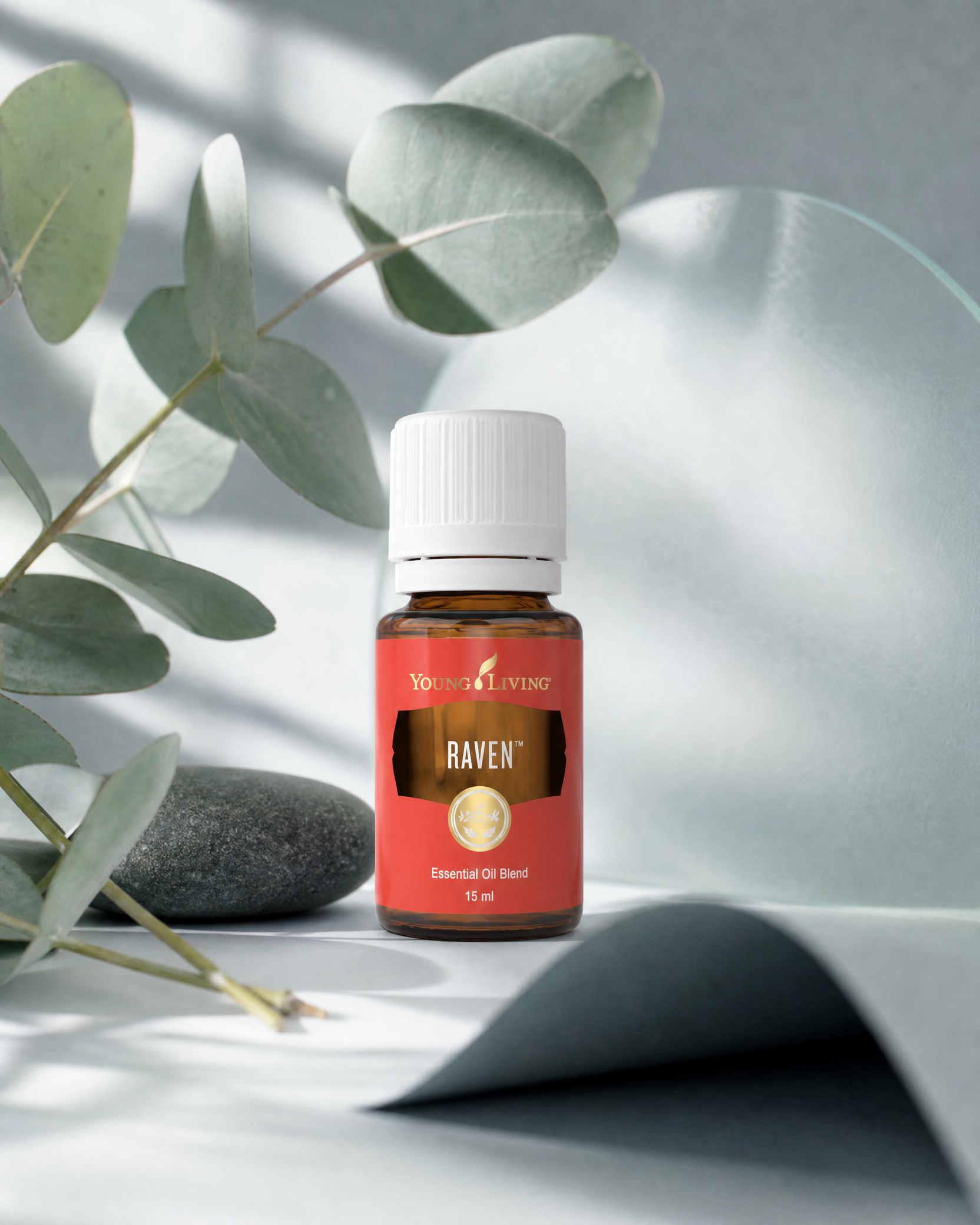 Raven product presentation