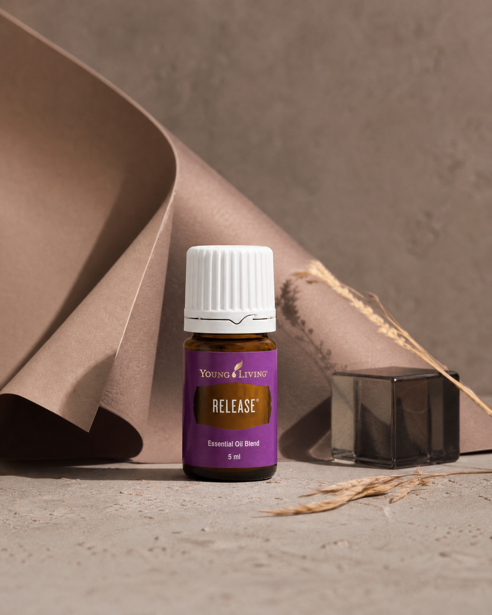 Release product presentation