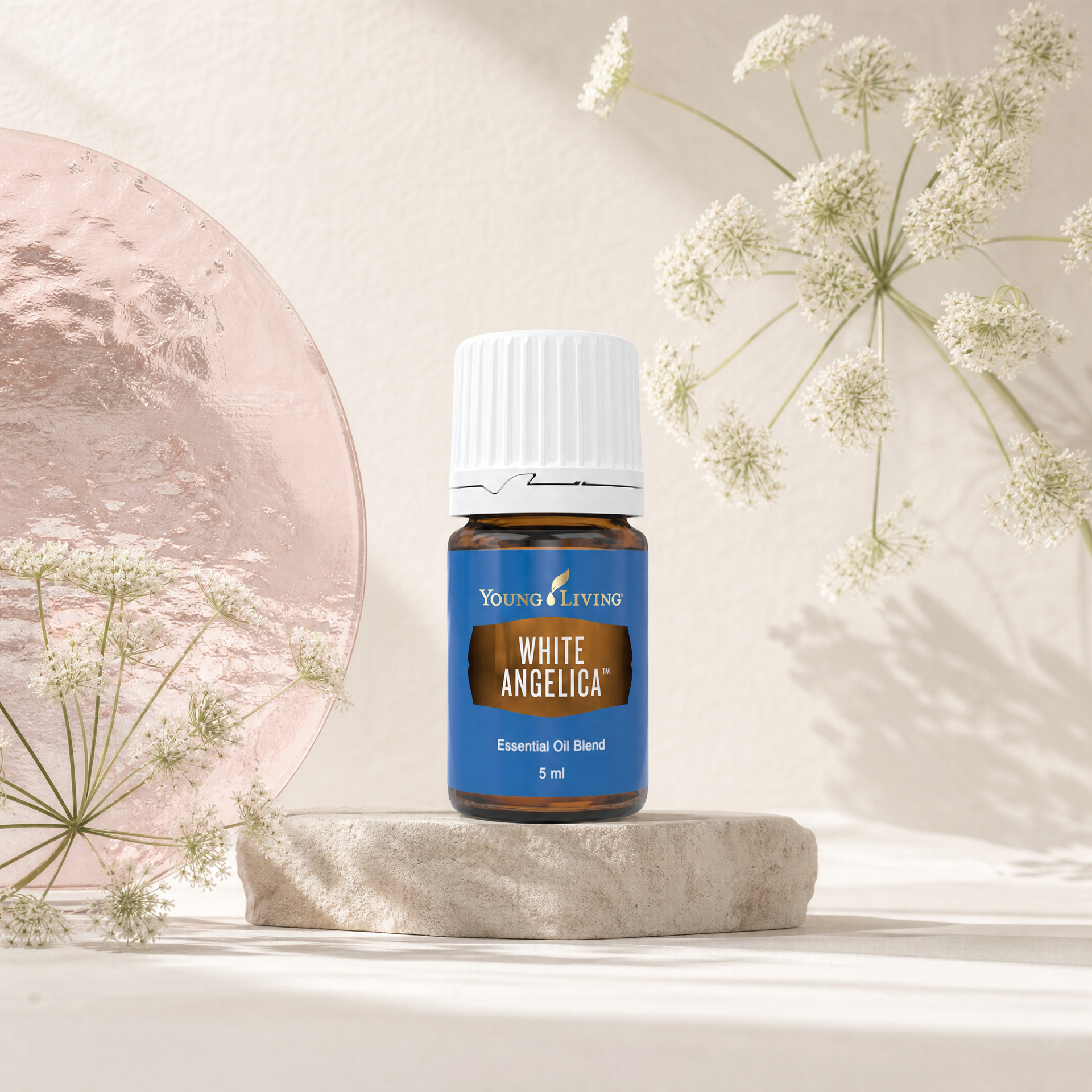White Angelica product presentation