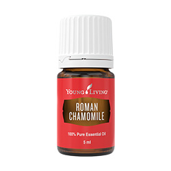Roman Chamomile 羅馬洋甘菊 product presentation