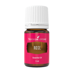 Rose 玫瑰 product presentation