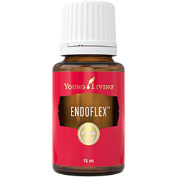 Endoflex product presentation